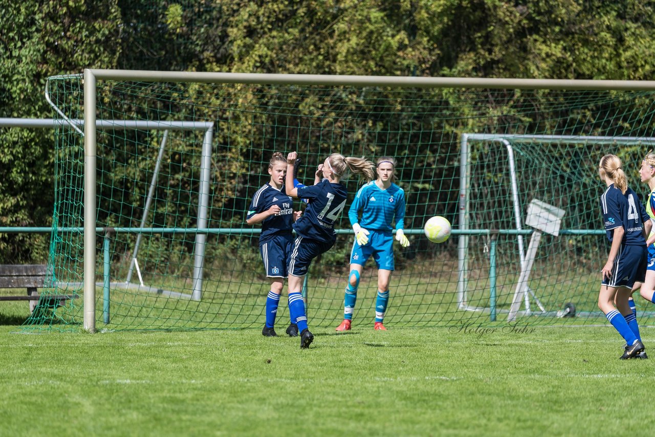 Bild 289 - B-Juniorinnen VfL Pinneberg - HSV : Ergebnis: 1:4